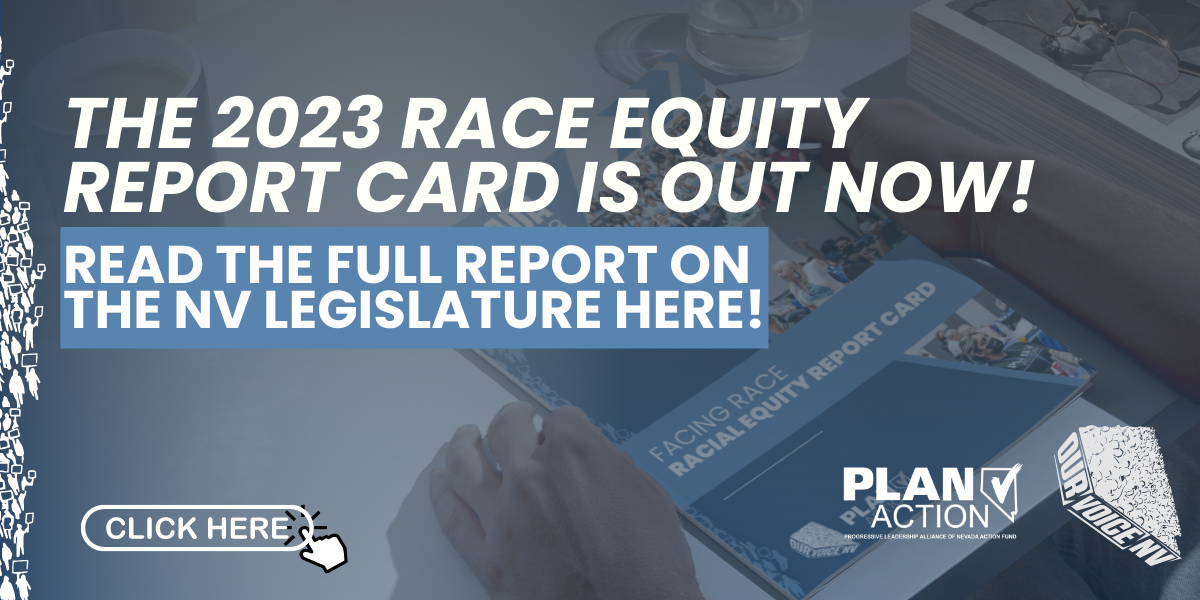 release of our 2023 Facing Race Race Equity Report Card (13)